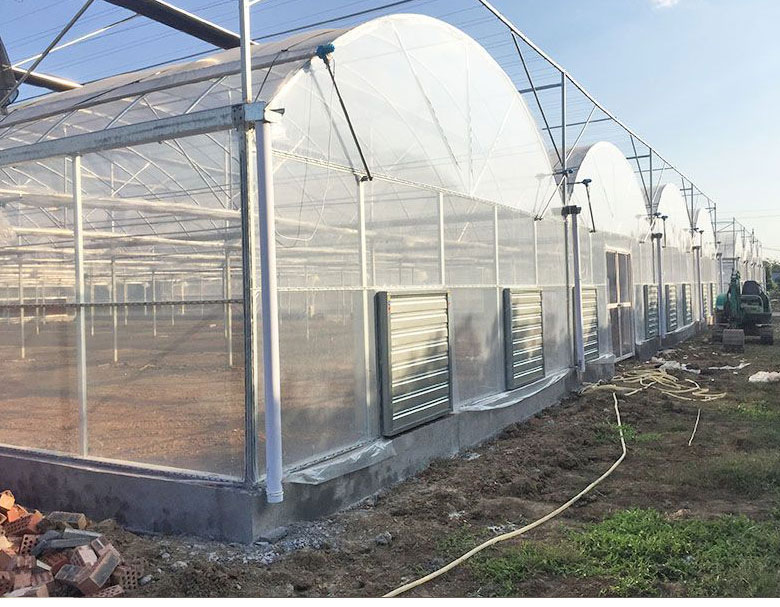 Film Greenhouse Cost Breakdown: Build, Operation, and Upkeep