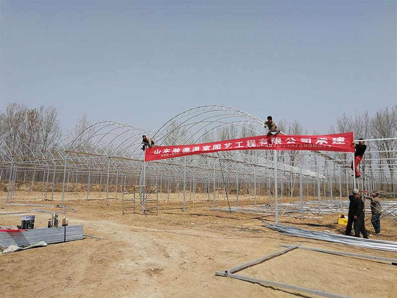 Film Greenhouse