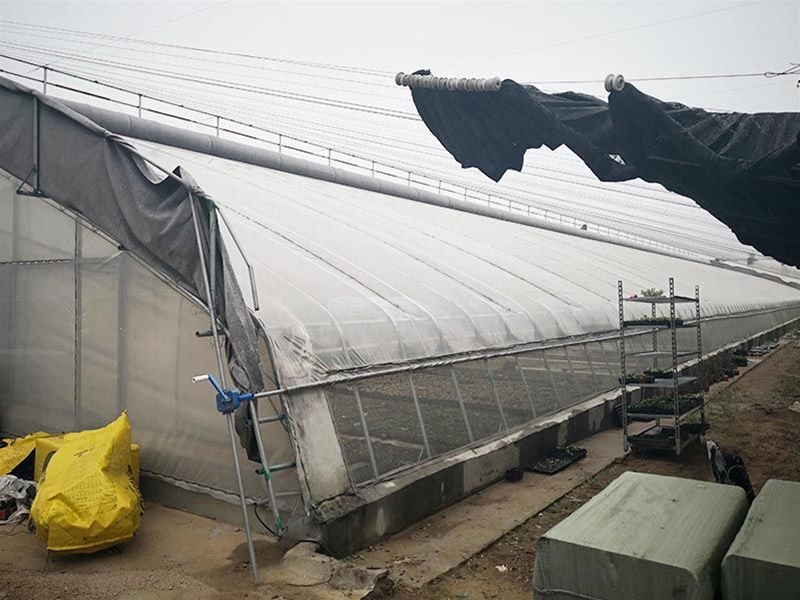 Winter greenhouse