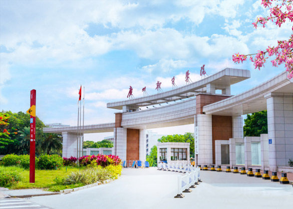 广州软件学院江门校区三台500KW康明斯发电机组