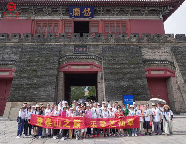 “泰山芝约”圆满结束，请到家的家人们报声平安！