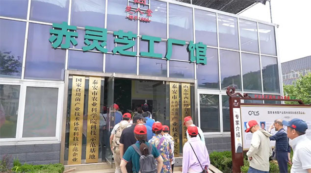 芝人堂“泰山芝约”健康伴你行第11期活动圆满落幕，共赴健康新旅程！