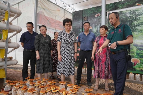 国家食用菌产业技术体系首席科学家谭琦、岗位科学家宫志远等考察芝人堂灵芝产业园