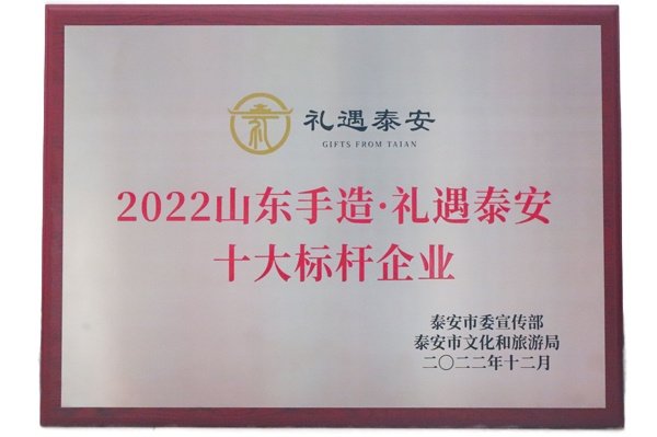 泰安市十大标杆企业