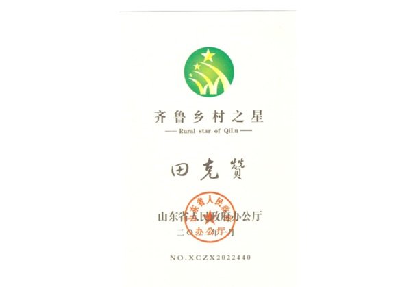 齐鲁乡村之星