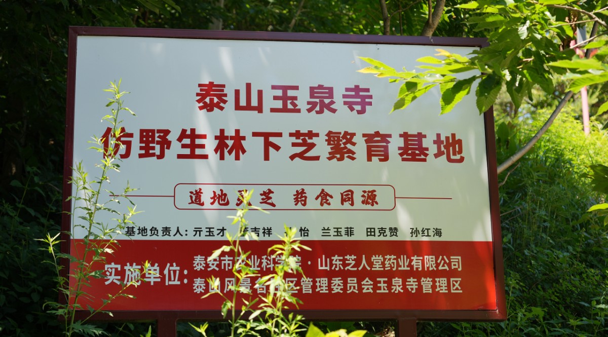 溯源芝香 共鉴初心 | 芝人堂第14期VIP客户溯源之旅温情收官