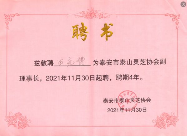 2021年11月30日董事长田克赞兹敦聘为泰安市泰山灵芝协会副理事长