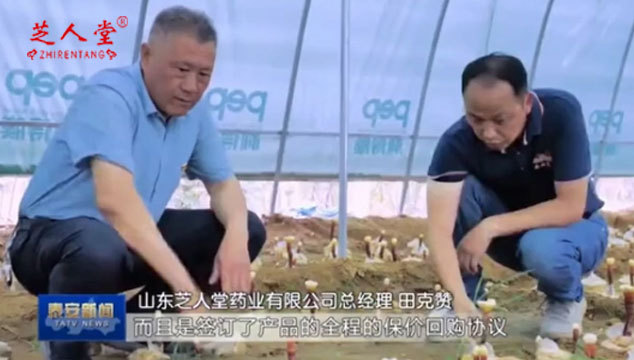 2fe6b88bce8f4f3095f2e0c6e63f7639 泰安新闻提到的这三点和每一个芝人堂用户都相关