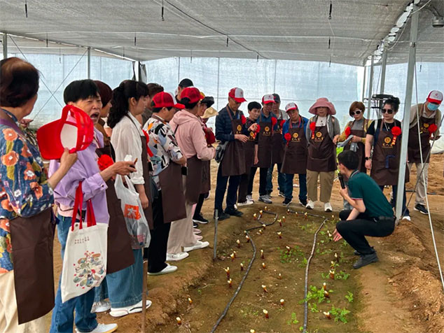 30 芝人堂“泰山芝约”健康伴你行第11期活动圆满落幕,共赴健康新旅程!