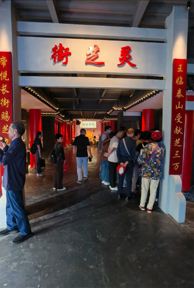 43 芝人堂“泰山芝约”健康伴你行第11期活动圆满落幕,共赴健康新旅程!