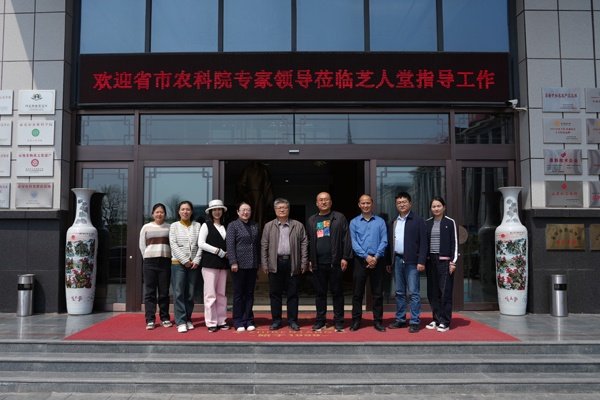 山东省食用菌产业技术体系首席科学家万鲁长等莅临芝人堂指导工作