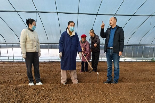 泰安市农科院专家来芝人堂基地指导种植生产