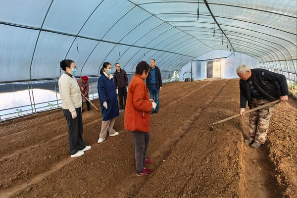 泰安市农科院专家来芝人堂基地指导种植生产