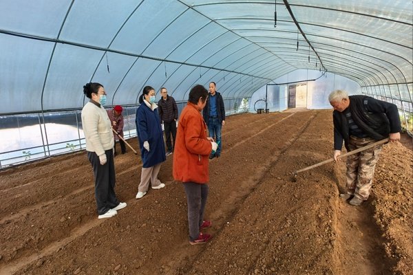 泰安市农科院专家来芝人堂基地指导种植生产