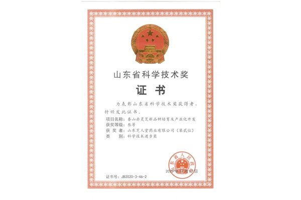 山东省科学技术奖三等奖