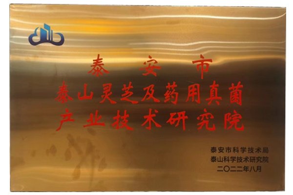 泰安市产业技术研究院
