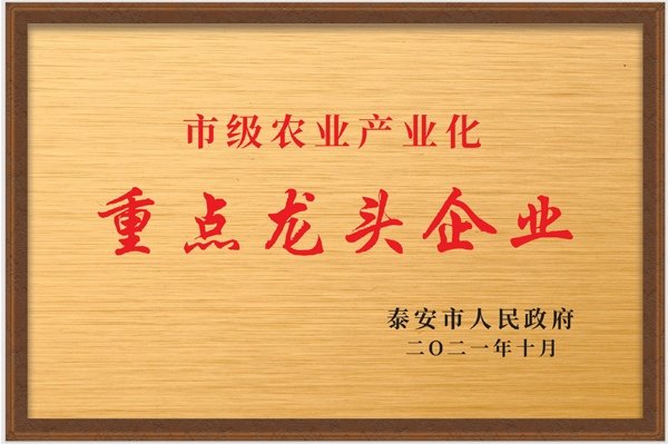 泰安市重点龙头企业