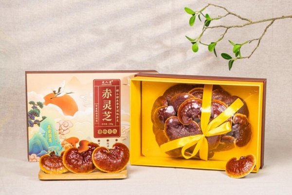 金边灵芝礼盒