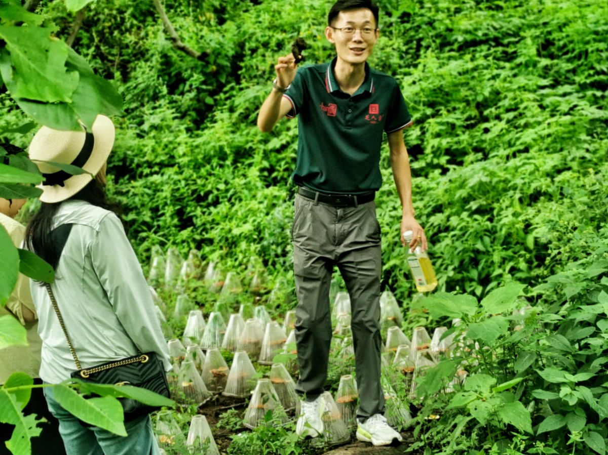 1784694246938409444014891008.png 溯源芝香 共鉴初心 | 芝人堂第14期VIP客户溯源之旅温情收官