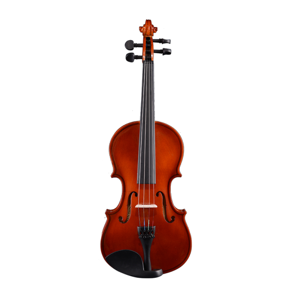 NV01