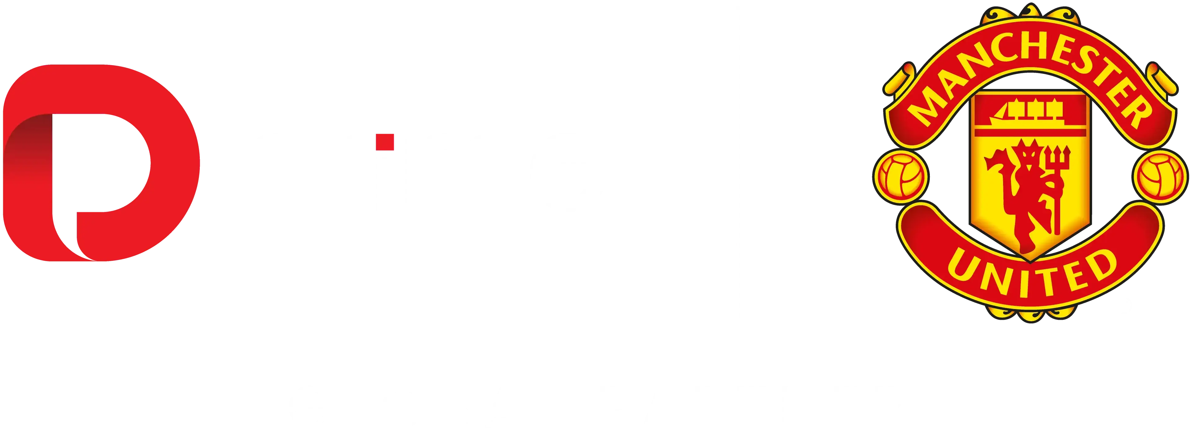 dprime logo