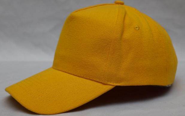 5-panel blank cap