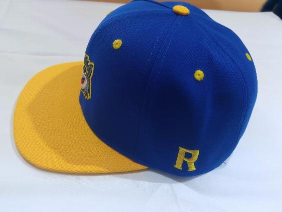 6-panel flat brim embroidered cap / hip-hop cap 6-panel flat brim embroidered cap / hip-hop cap