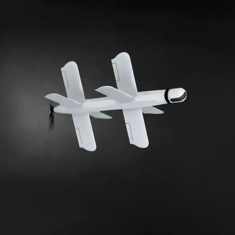 Модель 10