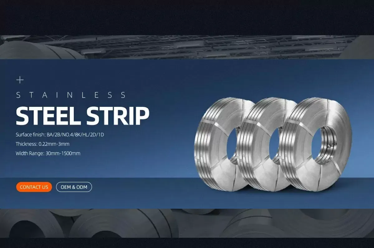 buy stainless steel strip