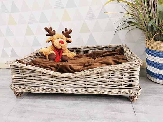 20210820161300148.jpg@!w400