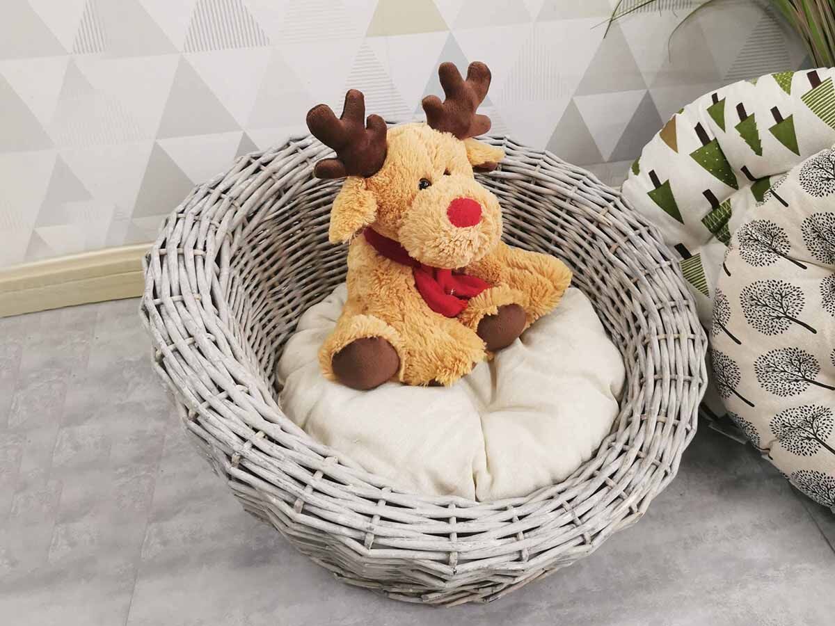 20210820162928625.jpg@!w400