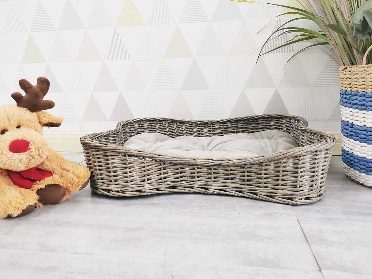 20210820163521127.jpg@!w400