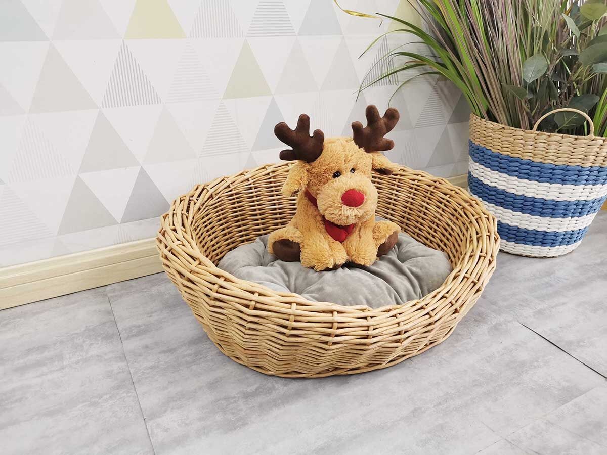 20210820163726239.jpg@!w400