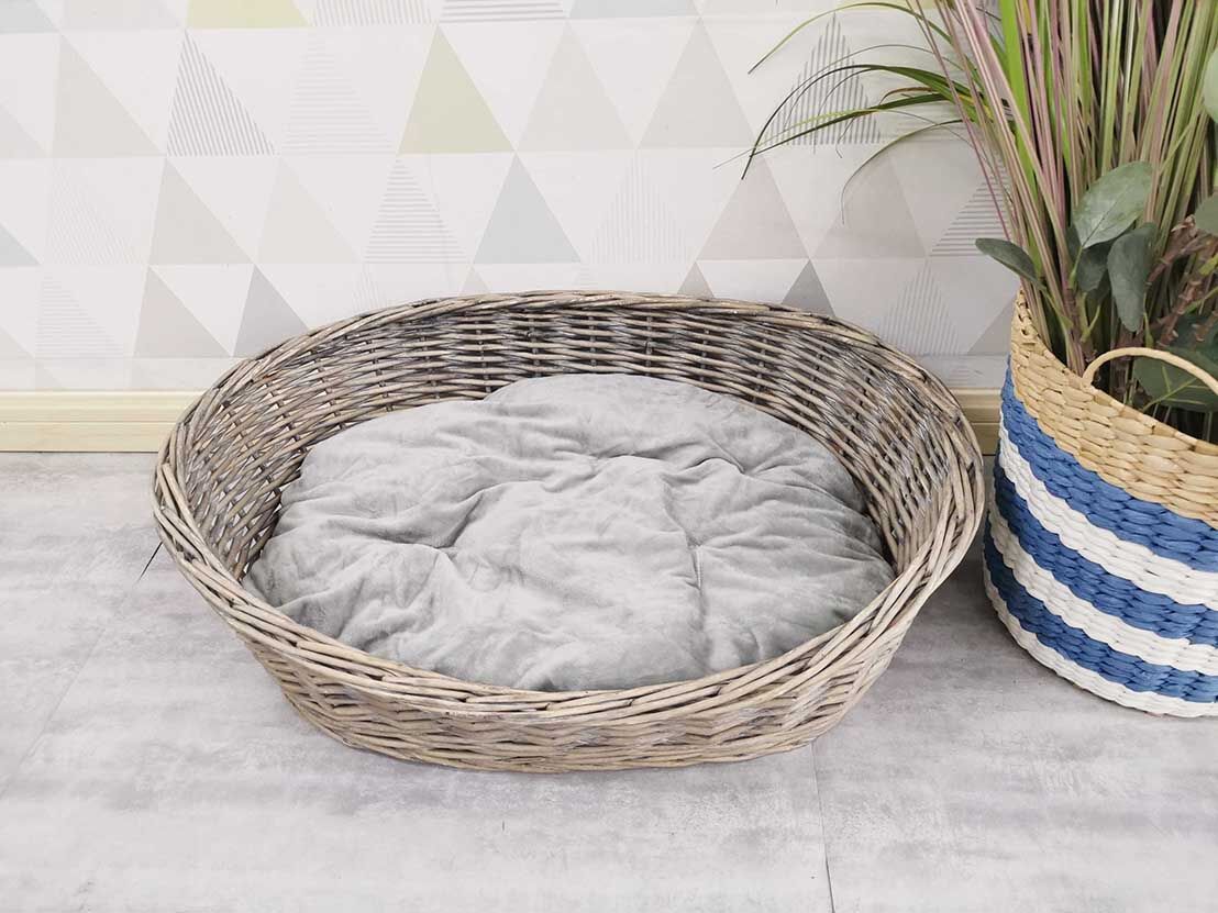 20210820163905312.jpg@!w400