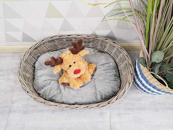 20210820163907199.jpg@!w400