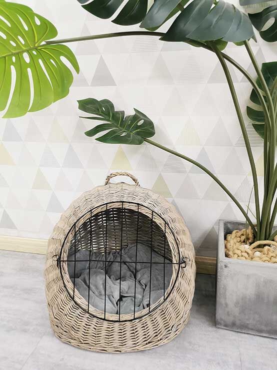 20210820164636460.jpg@!w400