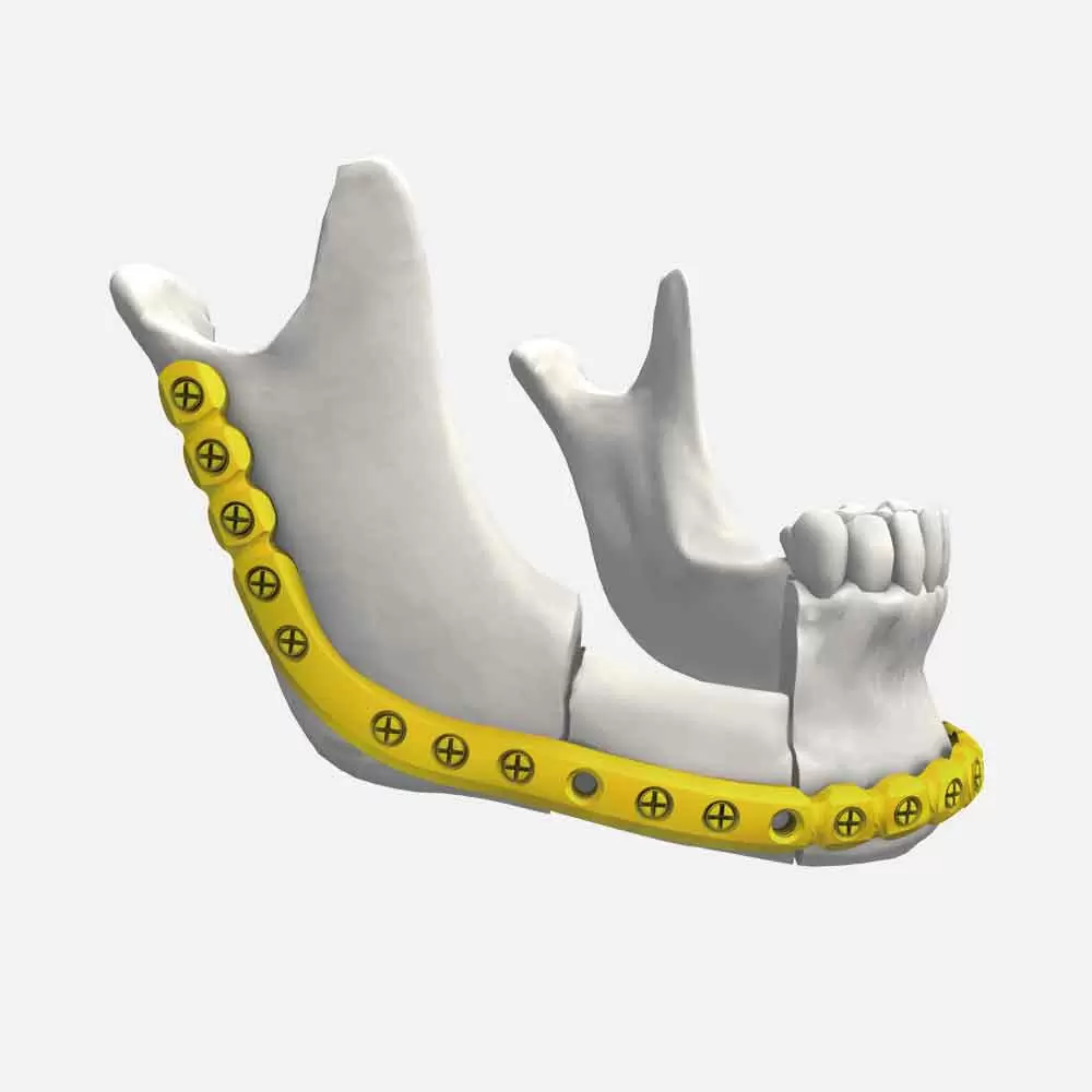 Manufacturing Facility