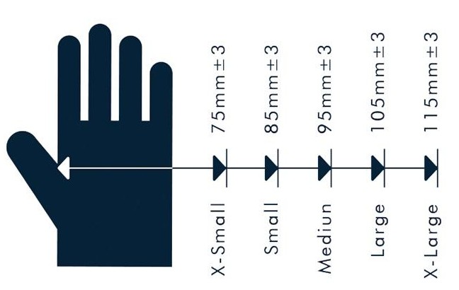 glove size.png