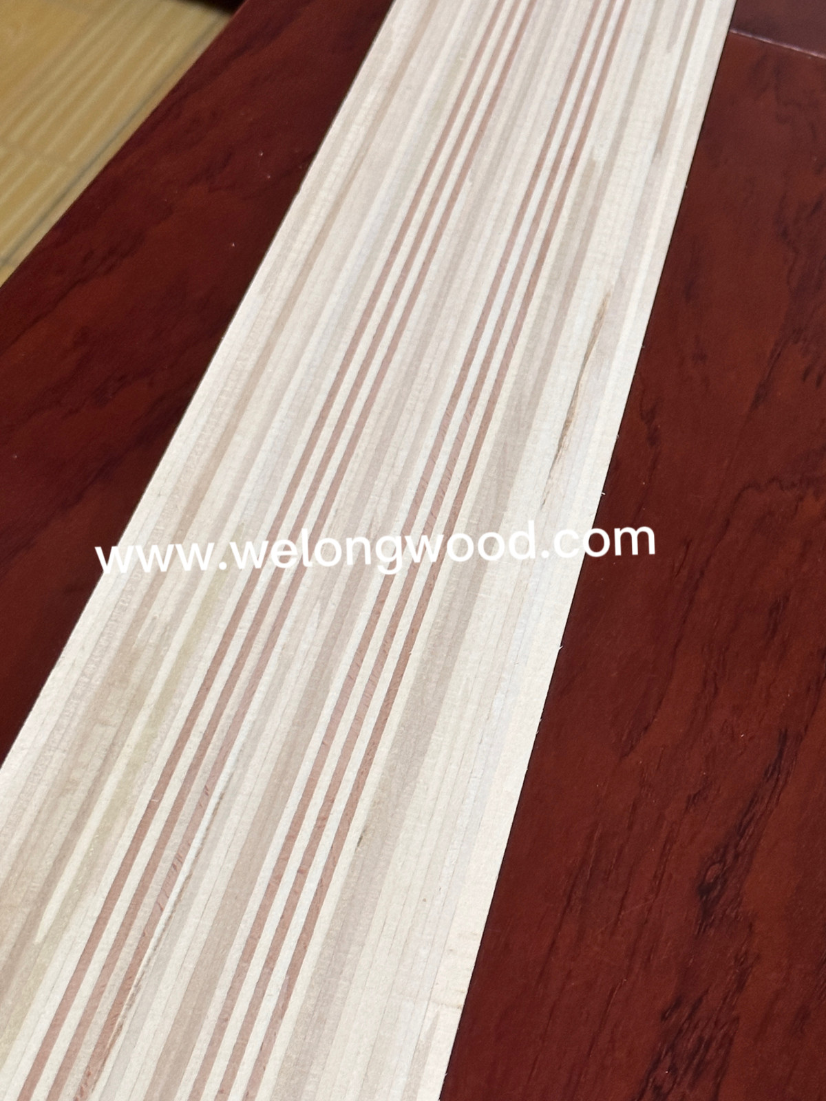 IMG_4592(1).jpg IMG_4592(1).jpg