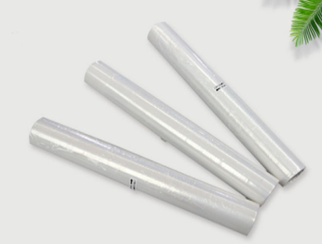 PLA Biodegradable Food Grade Packaging Film