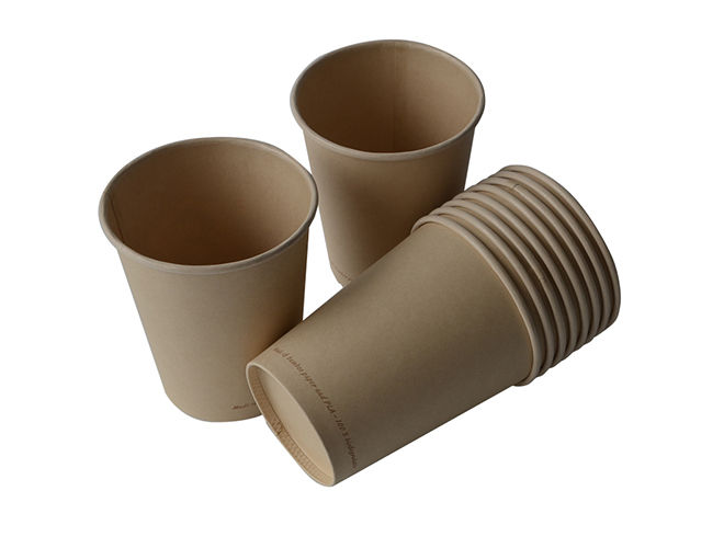 Biodegradable Cup