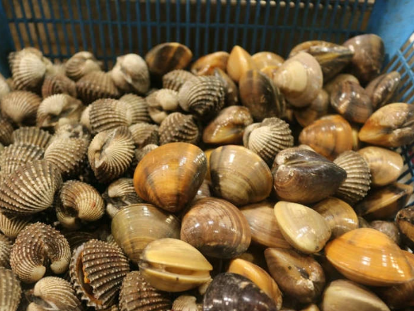 FDA对蛤蜊中含有PFAS的企业发出新的进口警报