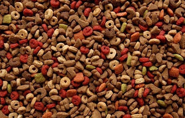 美国FDA将对宠物食品加工商实行更严格的执法措施