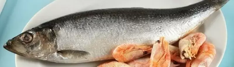 Seafood-Testing-800x675.jpg