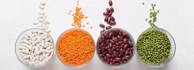 Vegetable-Protein.jpg
