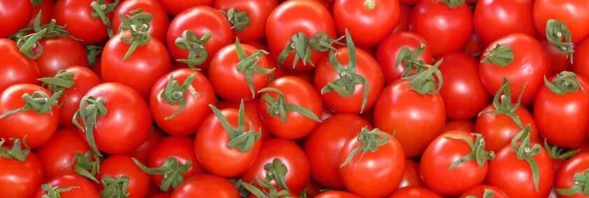 四家企业因农药残留问题被美国FDA列上自动扣留名单