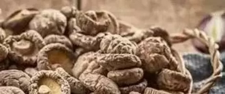 恭喜！2月份我国又有一家干蘑菇企业登上FDA绿名单