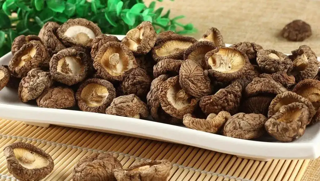 美国FDA对中国干蘑菇绿卡名单(25-05）