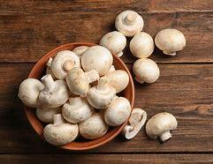 OIP-C (2).jpg OIP-C (2).jpg