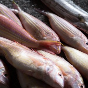 美国NOAA就扩大海产品进口监测范围，正在接受公众评论意见